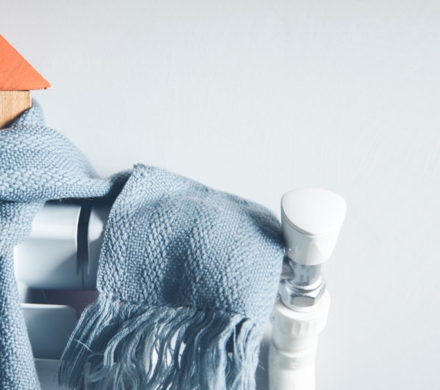 house-model-with-scarf-home-scaled-1